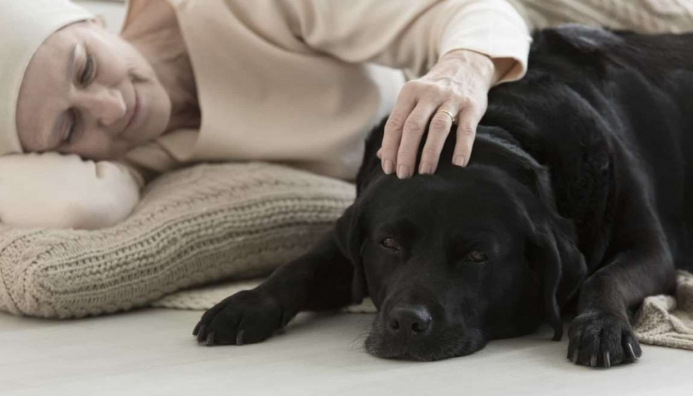 Técnico Auxiliar En Terapias Con Animales